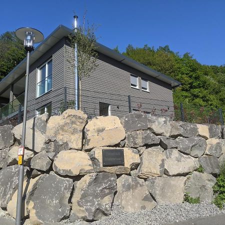 Ferienhaus Schieferterrasse - Waldsee Rieden - Экстерьер фото